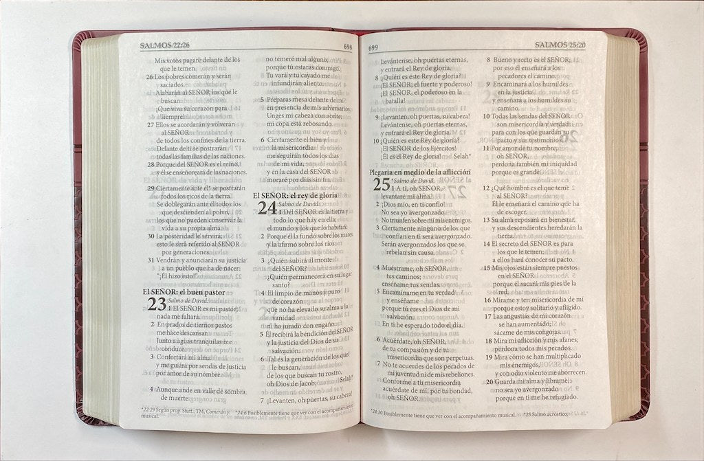 Una «Biblia Ilustrada» en español, abierta, se mantiene plana, mostrando el texto de los Salmos 22, 23, 24 y parte del 25 en letra grande, según la versión Reina-Valera Actualizada 2015, a lo largo de dos páginas.