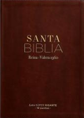 Biblia SG 19pt Cafe 65990