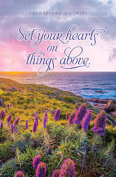 Paisaje costero con flores moradas en primer plano, el mar y la puesta de sol al fondo, y el versículo bíblico «Poned el corazón en las cosas de arriba. Colosenses 3:1 (NVI)» superpuesto en letra cursiva: perfecto para boletines de iglesia.