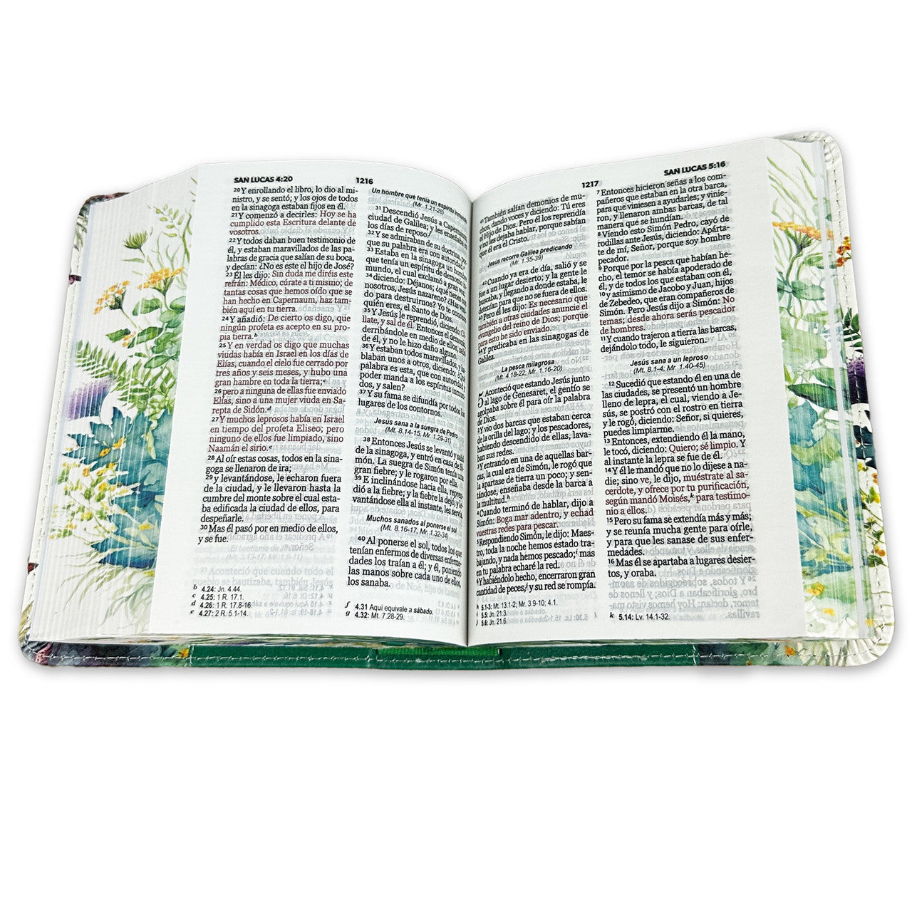 Una Biblia RVR60 abierta, con guardas con motivos florales, en la que se puede ver el texto en español del Evangelio de Lucas y las palabras de Jesús en rojo.