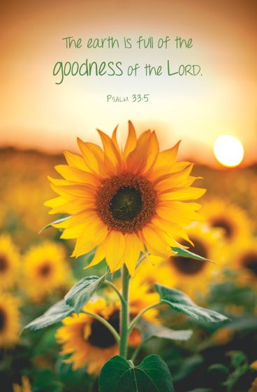 Un girasol en un campo al atardecer con el texto «La tierra está llena de la bondad del Señor. Salmo 33:5» en la parte superior: ideal para boletines de iglesia o programas de los servicios religiosos.