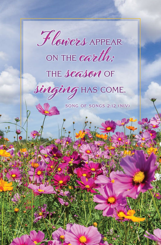 Las flores silvestres de color rosa y naranja florecen en un campo bajo un cielo azul salpicado de nubes. Un versículo bíblico del Cantar de los Cantares 2:12 aparece superpuesto con tipografías decorativas, lo que hace que este diseño sea perfecto para boletines de iglesia o boletines imprimibles, aportando inspiración a tu orden del servicio.