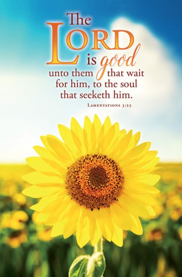 Un girasol en un campo bajo un cielo azul, con el versículo bíblico «El Señor es bueno con los que le esperan, con el alma que le busca. Lamentaciones 3:25» escrito encima; ideal para boletines de iglesia o anuncios de misas.