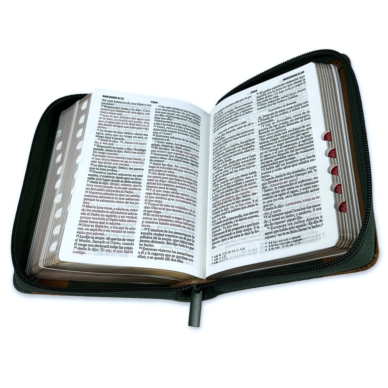 Una Biblia de tapa blanda con referencias cruzadas (RVR60), con una funda con cremallera, en la que el texto aparece en negro y las palabras de Jesús en rojo, además de separadores de secciones con pestañas visibles.