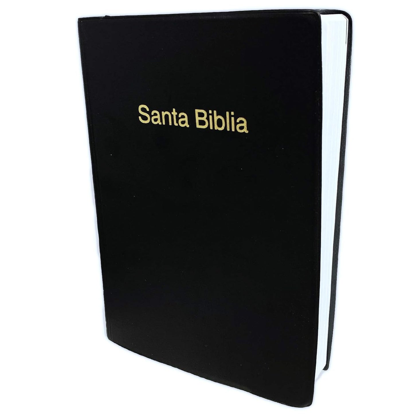 Una «Santa Biblia» Reina Valera 1960, de tapa dura negra, con letras doradas en la portada, en la que las «Palabras de Cristo» aparecen en rojo.