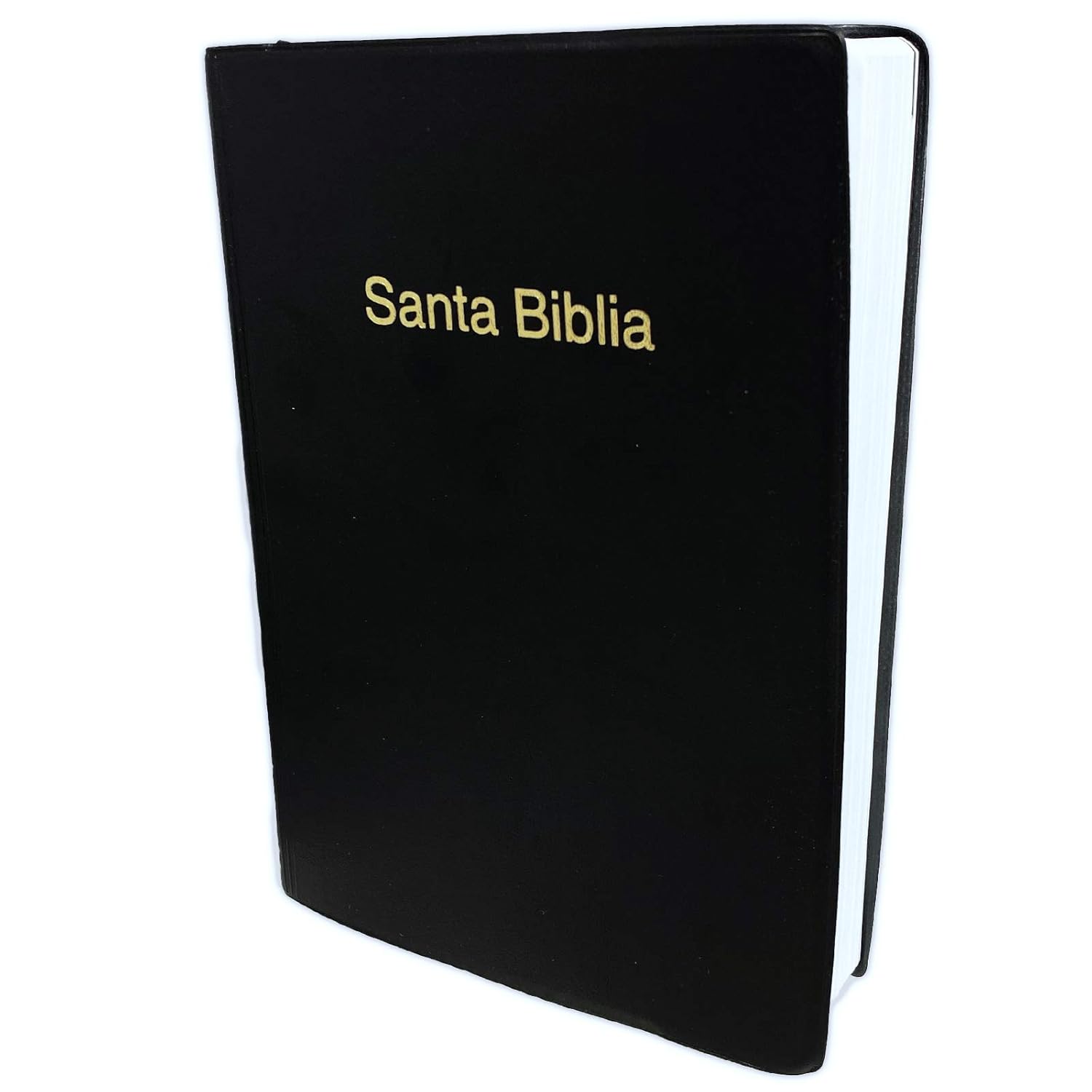 Una «Santa Biblia» Reina Valera 1960, de tapa dura negra, con letras doradas en la portada, en la que las «Palabras de Cristo» aparecen en rojo.