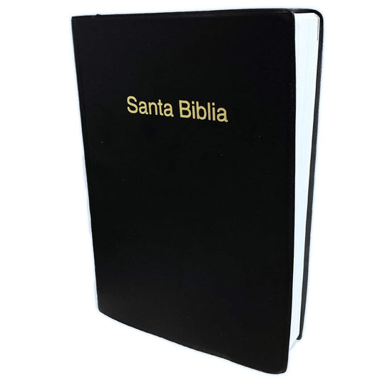 Una «Santa Biblia» Reina Valera 1960, de tapa dura negra, con letras doradas en la portada, en la que las «Palabras de Cristo» aparecen en rojo.