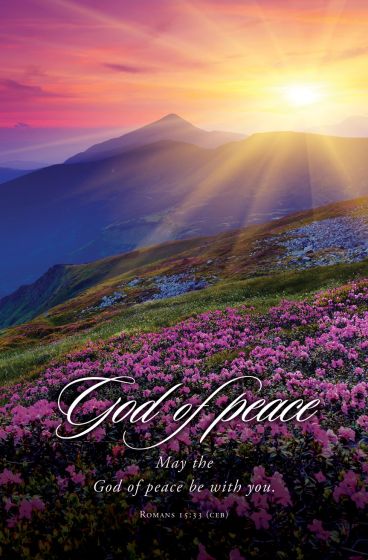 Amanecer sobre las montañas con flores rosas en primer plano. El texto dice: «Dios de la paz. Que el Dios de la paz esté con vosotros». Romanos 15:33 (CEB). Perfecta para boletines de iglesia o para incluirla en anuncios de iglesia, esta imagen transmite un mensaje de esperanza y tranquilidad a tu congregación.