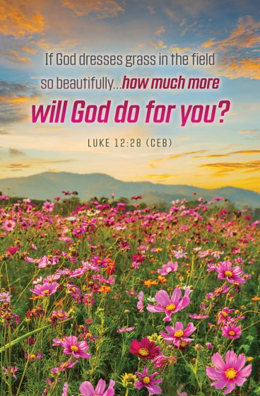 Campo de flores rosas bajo un cielo de atardecer lleno de colores, perfecto para boletines o anuncios de la iglesia, con un versículo bíblico de Lucas 12:28 sobre el cuidado de Dios en letra negrita.