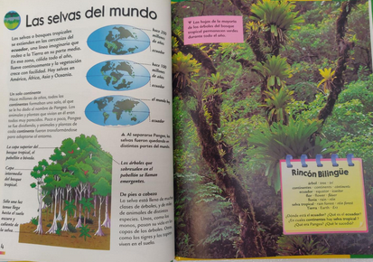Dos páginas de una enciclopedia española para niños sobre las selvas tropicales, con mapas, ilustraciones de árboles y una fotografía de un frondoso bosque verde con helechos. El texto explica las características de las selvas tropicales y su distribución por el mundo.