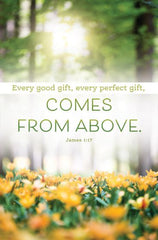 Bulletin # AP2138 Every Good Gift