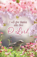 Bulletin # 3567 I will give thanks