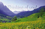 Postcard Thinking of You # 9930