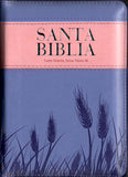 Biblia Portatil 11pt Violeta 34346