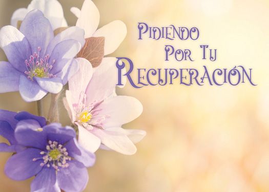 Flores moradas y blancas a la izquierda, con el texto en español «Pidiendo por tu recuperación» a la derecha sobre un fondo suave y difuminado. Perfectas para tarjetas para cualquier ocasión y disponibles en tarjetas con sobres de diferentes diseños.