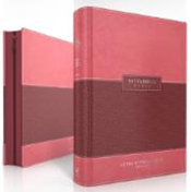 Dos libros de tapa dura de la Reina Valera 1960 con cubiertas rojas y burdeos, uno en posición vertical y el otro en posición horizontal; ambos cuentan con una etiqueta rectangular en la portada y letra grande para facilitar la lectura.