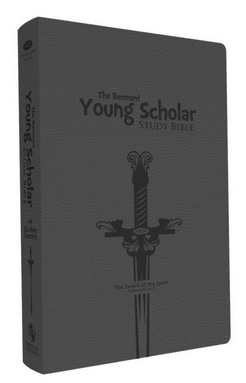 Biblia de estudio «Young Scholar» de tapa dura gris, titulada «The Remnant», con una ilustración de una espada en la portada; ideal para el estudio de la Biblia con niños.