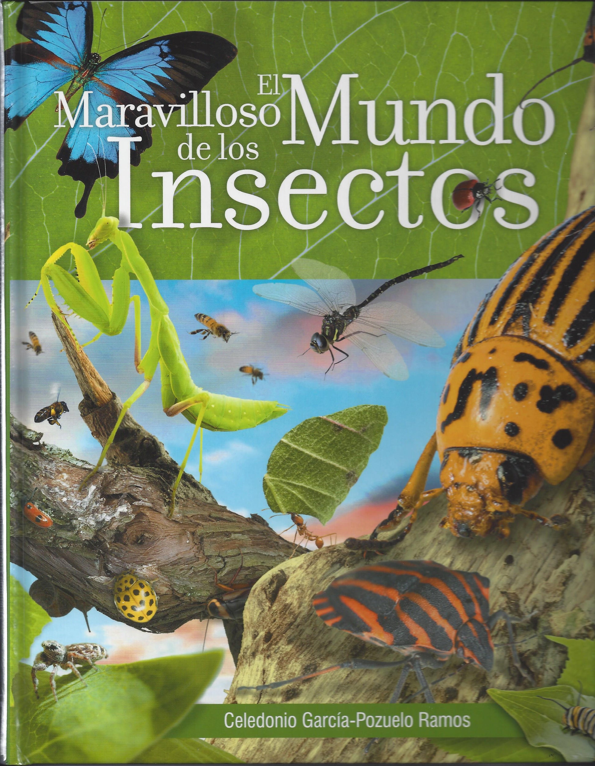 Portada del libro titulado «El maravilloso mundo de los insectos», con imágenes de una mantis religiosa, una mariposa, escarabajos y otros animales pequeños sobre un fondo verde. Perfecto para una aventura familiar. Autor: Celedonio García-Pozuelo Ramos.