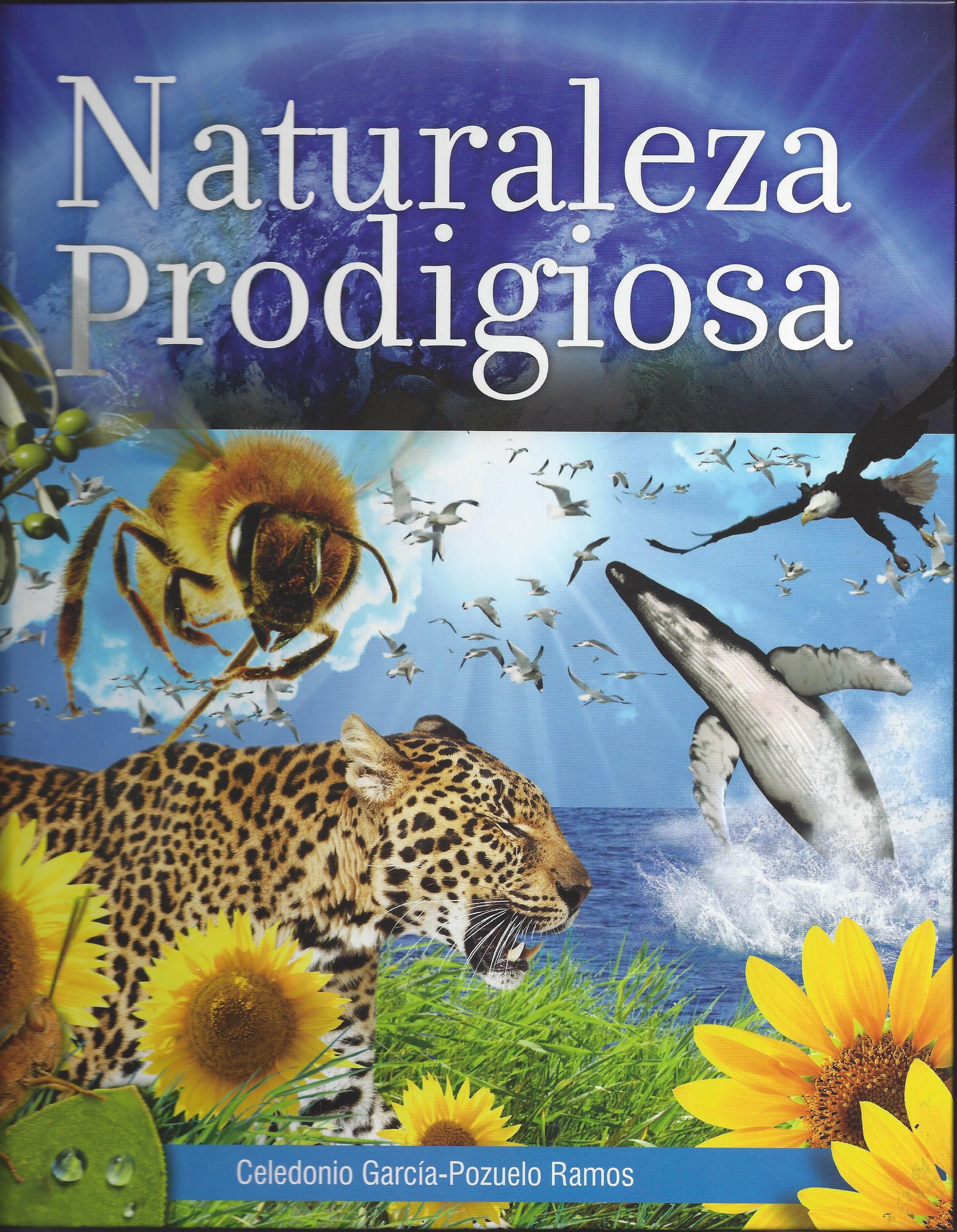 Portada del libro titulado «Naturaleza Prodigiosa», en la que aparecen una abeja, un jaguar, una ballena, girasoles y un frondoso follaje verde, con un cielo azul y el océano como fondo. Un libro educativo que inspira la enseñanza de la naturaleza. Autor: Celedonio García-Pozuelo Ramos.