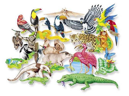 Ilustración de un conjunto de animales de la selva tropical lleno de vida, en el que aparecen aves, reptiles, mamíferos, anfibios, insectos y un murciélago, todos ellos representados con un estilo colorido y detallado que recuerda a los juguetes divertidos.