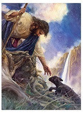 Un hombre con un bastón se inclina para tocar a un cordero negro tumbado en el suelo, con las montañas y una cascada como telón de fondo bajo un cielo nublado: una escena evocadora, perfecta como cuadro de 16 x 20 o como llamativo póster para tu espacio.