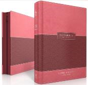 Dos libros de tapa dura, uno rosa y otro granate —una «Biblia con índice Reina-Valera 1960»— están colocados en posición vertical y ligeramente inclinados; uno está cerrado y el otro ligeramente abierto para mostrar el lomo y el diseño de la portada en «letra gigante».