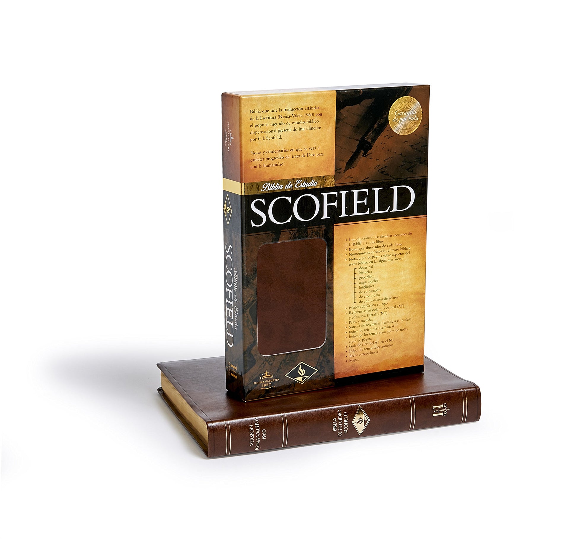 Dos libros de tapa dura de color marrón, uno en posición vertical y otro abierto, ambos titulados «Scofield» con detalles en dorado y negro: perfectos para el estudio bíblico. Estas ediciones incluyen las famosas notas de C. I. Scofield junto con la traducción de la Reina-Valera de 1960.