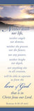 Bookmark Neither Dearth nor Life