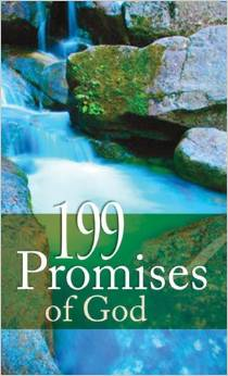 Portada del libro titulado «199 promesas de Dios», en la que aparecen un arroyo que fluye y unas rocas cubiertas de musgo, que simbolizan el renacimiento espiritual y el compromiso de Dios presente en cada una de las promesas del Creador.