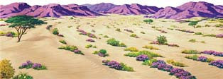 Un paisaje desértico arenoso, salpicado de arbustos verdes y flores silvestres de color púrpura, con montañas rocosas al fondo y un cielo despejado, da lugar a una llamativa imagen del desierto de 16" x 24".