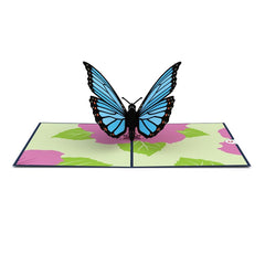 Tarjeta Pop Up Blue Butterfly