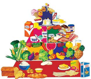 Ilustración de una pirámide alimentaria en la que se muestran los alimentos nutritivos agrupados en: cereales, frutas, verduras, lácteos, proteínas y dulces, dispuestos en niveles de abajo hacia arriba para una alimentación infantil equilibrada.