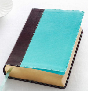 Una Biblia de imitación de cuero, cerrada, con una cubierta de color turquesa y marrón oscuro y un marcapáginas de cinta verde, apoyada sobre una superficie blanca.