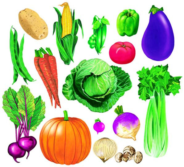 Ilustración de diversas verduras de fieltro —como patatas, maíz, guisantes, pimientos, berenjenas y otras— perfectas como comida de juguete o como juguete educativo para los niños.